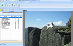 Vole Edutainment Vole Edutainment